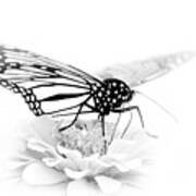A Light Touch - Butterfly Art Print