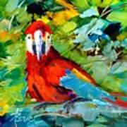 Papagalos Art Print