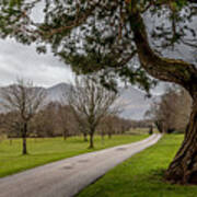 A Path Through The Park Art Print