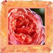 A Rich And Elegant Rose With Design Art Print