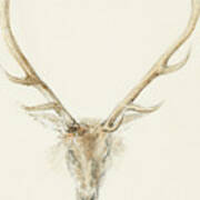 A Stag Shot By John Brown Art Print