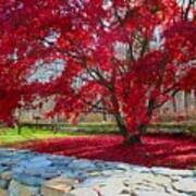 A Tree's Red Skirt Art Print