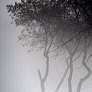 A Walk Through The Mist Art Print