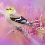 Abstract Goldfinch Art Print