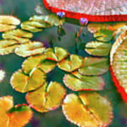Abstract Lily Pads Art Print