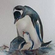 Gentoo Penguin Art Print