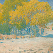 Adobes And Cottonwoods Art Print
