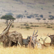 African Safari Animals In Dreamy Kenya Scene Art Print