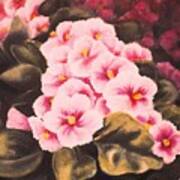 African Violets Art Print