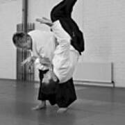 Aikido Up And Down Art Print