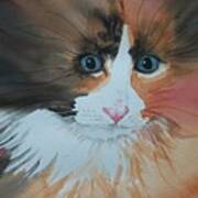 Ali Cat Abstract Art Print