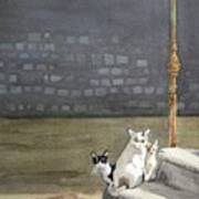 Alley Cats - Gatti Randaggi Art Print