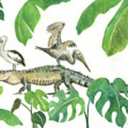 Alligator And Pelicans Art Print