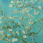 Almond Blossom, 1890 Art Print