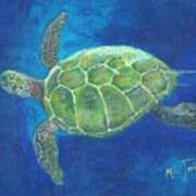 Aloha Honu Art Print