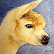 Alpaca Baby Art Print