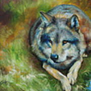 Alpha Wolf Art Print