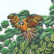 Amazon Bird Art Print