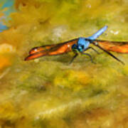 Amber Wing Dragonfly Art Print