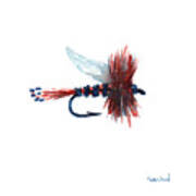 American Fly Art Print