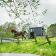 Amish Buggy Along Ronks Road Art Print