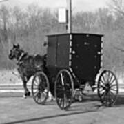 #amish #country #ohio #horse #buggy Art Print