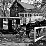 Amish Horse And Buggy In Black And White Art Print