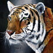 Amur Tiger Art Print