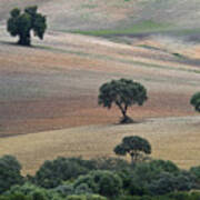 Andalusian Landscape Art Print