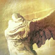 Angel Wing - #3 Art Print