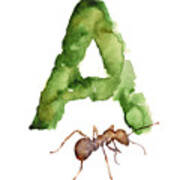 Ant Watercolor Alphabet Painting Art Print