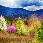 Appalachian Spring In The Holler Art Print