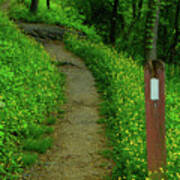 Appalachian Trail In West Virginia Art Print