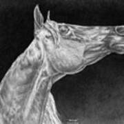 Arabian Horse Attitude Print Art Print