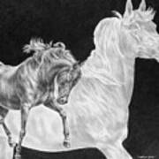 Arabian Horse Spirit Print Art Print