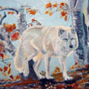 Arctic Wolf Art Print