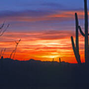 Arizona Desert Sunset Art Print