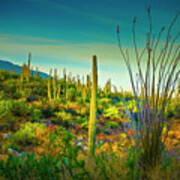 Arizona Landscape Series L9250069 Art Print