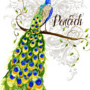 Art Nouveau Peacock W Swirl Tree Branch And Scrolls Art Print