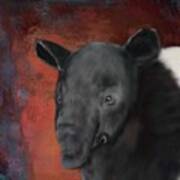 Asian Tapir Art Print