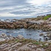 Asilomar Beach Art Print