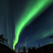 Aurora Borealis, Northern Lights In Denali National Park Art Print