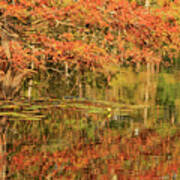 Autumn Bayou Louisiana Art Print