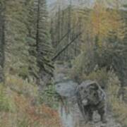 Autumn Bear Romp Art Print