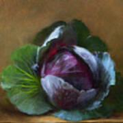 Autumn Cabbage Art Print