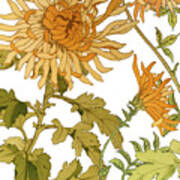 Autumn Chrysanthemums I Art Print