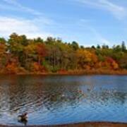 Autumn Day On The Lake - Lake Carasaljo Art Print