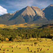 Autumn Hay In The Rockies Art Print