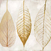 Autumn Leaves Iii Fallen Gold Art Print