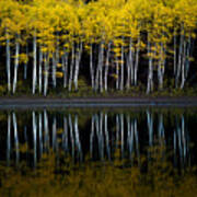 Autumn Mirror Art Print